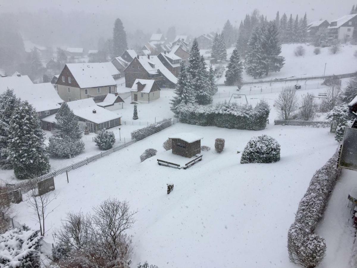 Haus Reimann Daire Altenau  Dış mekan fotoğraf